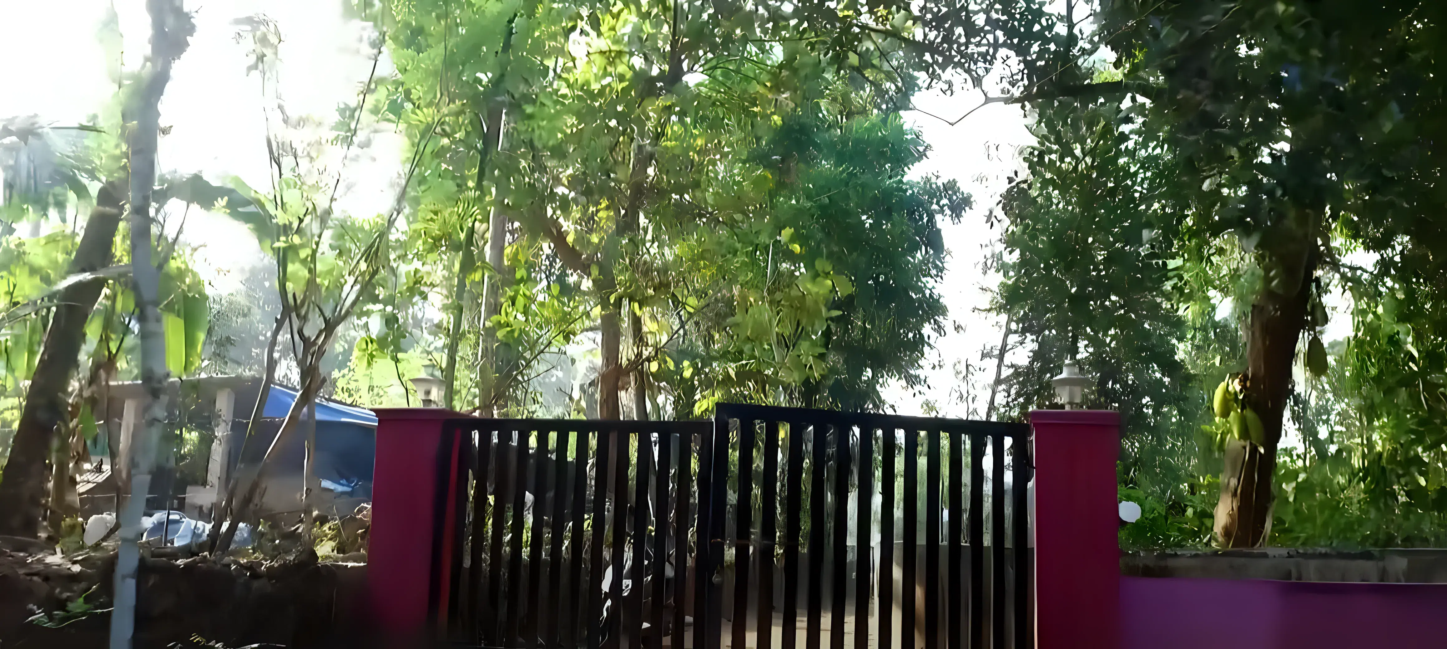 Mangalam College of Engineering Ettumanoor Kottayam Campus photo 1